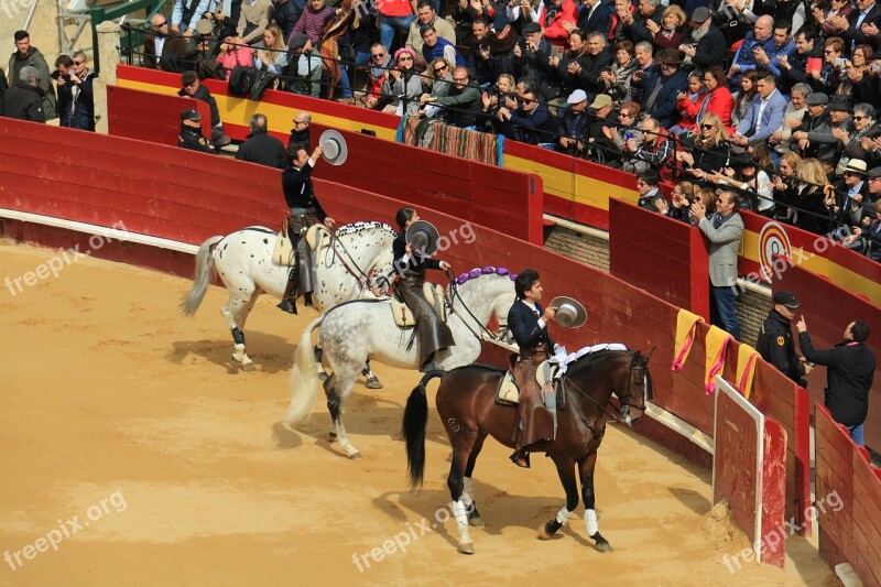 Bullring Torero Free Photos