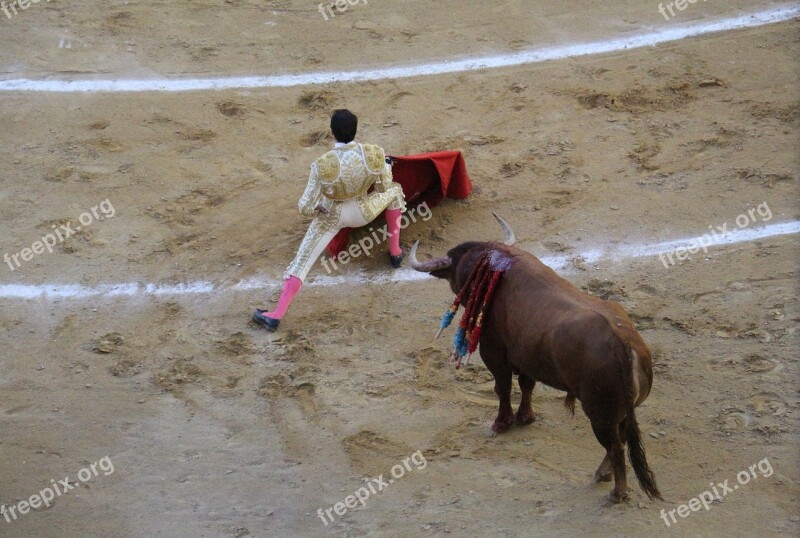 Torero Bullring Blood Courage Matador De Toros