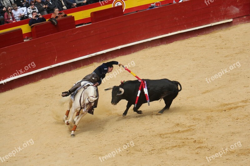 Bullring Torero Free Photos