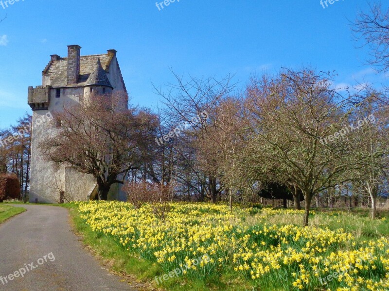 Daffodils Spring Tower House 14th Century Free Photos